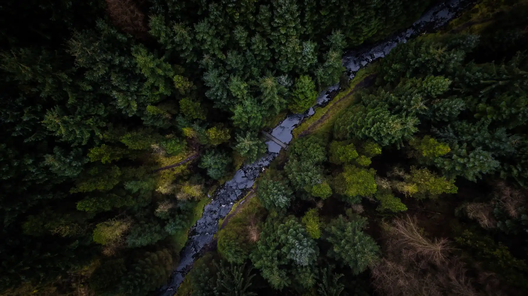 Vista aérea de selva y río en Misiones